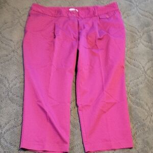 Liz Claiborne Hot Pink Women's Pants